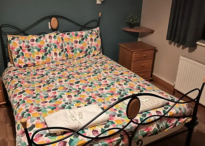 The Shannon Bar 여관 *